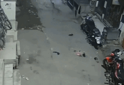 又一次越狱失败gif搞笑图片