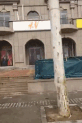 没有人能拒绝逛这一条街gif搞笑图片