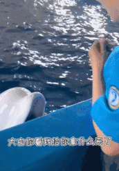 不给吃的？看我口水攻击-搞笑gif动态图片-izike