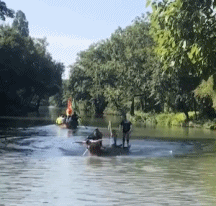 龙舟玩明白了gif搞笑图片