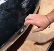 金枪鱼鱼鳍隐藏到体内gif搞笑图片