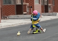 今天出门溜个鸭gif搞笑图片