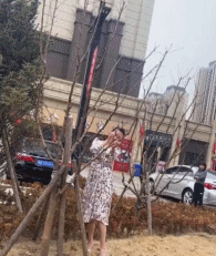 拍美丽视频背后gif搞笑图片