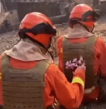 这世间有多少美好gif搞笑图片