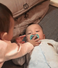 一出生就开始互掐gif搞笑图片