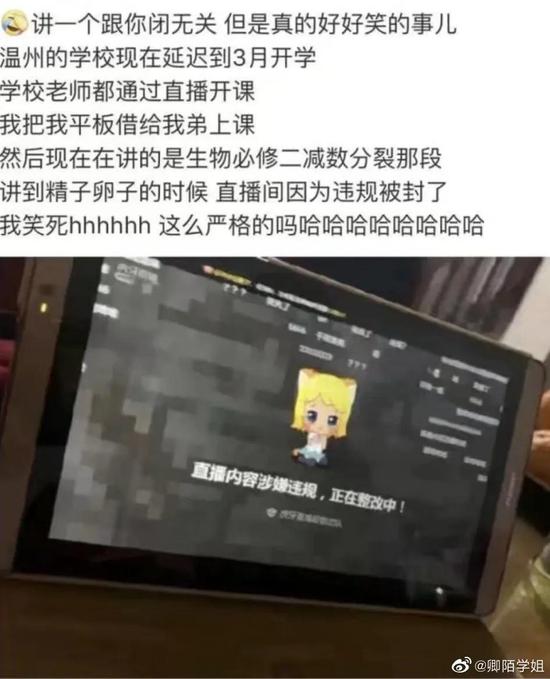教师直播:直播上课40分钟,我只听到老师的一句“可以听见吗?” 图源:微博@卿陌学姐