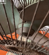 谁还记得这台老电风扇gif搞笑图片