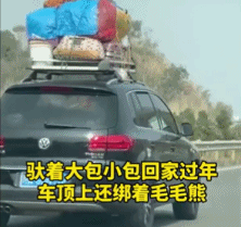 回家带了多少行李gif搞笑图片