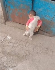 义气的转移方式gif搞笑图片