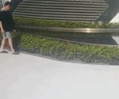 找到一张水床gif搞笑图片