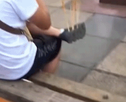 素质把控得相当到位-搞笑gif动态图片-izike