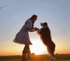 有你的陪伴很浪漫gif搞笑图片