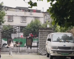 父女打羽毛球用大门当球网-美女动态图片-gif动态图-izike