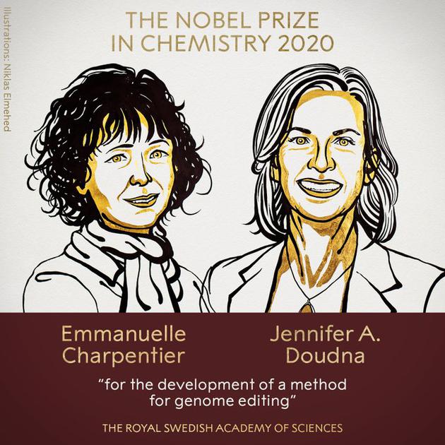 获得诺贝尔奖的“基因剪刀”：重写生命编码的工具