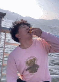 喂海鸥的翻车现场gif搞笑图片