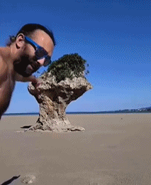 一颗奇奇怪怪的石头gif搞笑图片