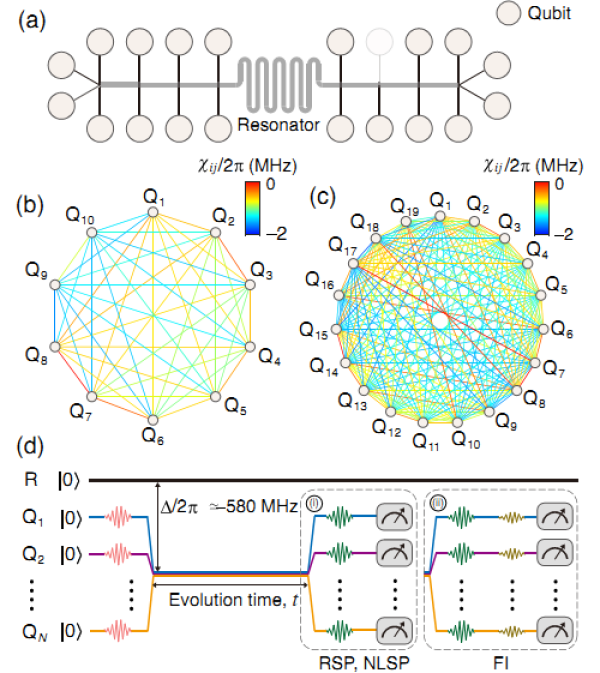 器件中19个量子比特位置，其相互耦合强度信息，以及测量线性和非线性压缩系数，量子费舍尔信息时的实验操作步骤，图片来自中科院物理研究所