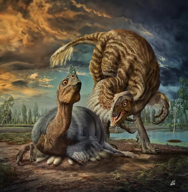 艺术家描述大型窃蛋龙如何孵化恐龙蛋，它们将恐龙蛋排列在距离蛋巢中心较远的位置，这样不会压碎恐龙蛋。