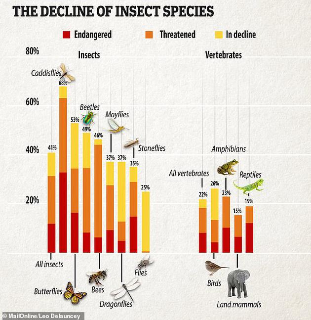 过去十年来，全世界41%的昆虫物种处于衰退之中。自1990年以来，英国农田环境中的蝴蝶数量下降了27%，在林地环境中则下降了58%。