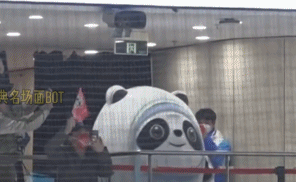 属实是团宠了gif搞笑图片