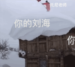 当你说稍微修一下刘海时-搞笑gif动态图片-izike