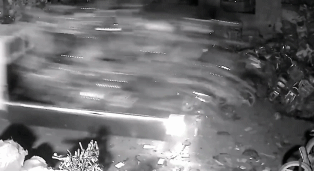 一个倒车就解决gif搞笑图片