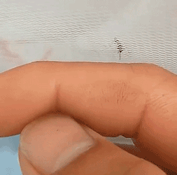 又不给，又要诱惑人家……-搞笑gif动态图片 - izike-izike
