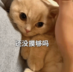 回头把今天的帐结一下 小鱼干就行-搞笑gif动态图片-izike