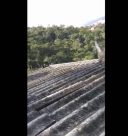 我们说好不分离-搞笑gif动态图片-izike