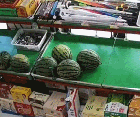 西瓜：我吐了gif搞笑图片