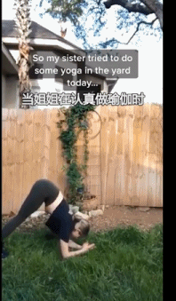 当姐姐认真做瑜伽时-搞笑gif动态图片-izike