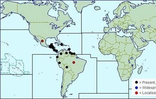 中南美洲SALB的分布。图片来源：（DOI）10.2760/73303