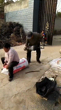 试试新的交通工具-搞笑gif动态图片-izike
