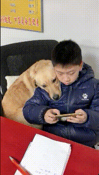 要与主人保持高度一致-搞笑gif动态图片 - izike-izike