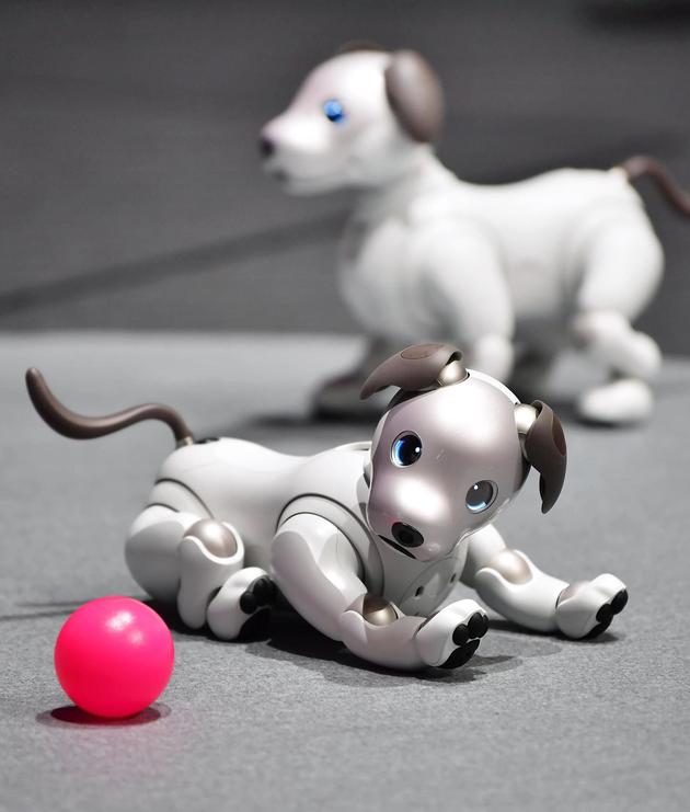 索尼公司推出犬型机器人 AIBO