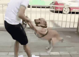 我不是谦虚，真不会跳舞-搞笑gif动态图片-izike