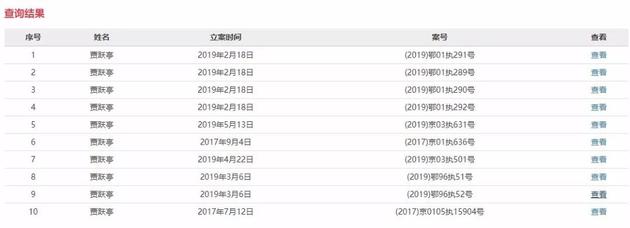 贾跃亭名下有31条执行信息 来源：中国执行信息公开网