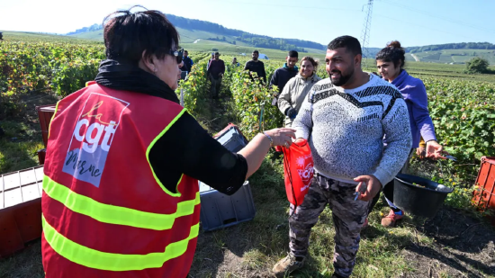 2024 年 9 月 19 日，法国东部伊尼 - 孔布利济市，法国总工会成员在香槟葡萄园向季节工（多为外籍劳工）发放传单，普及劳工权益相关知识。2024 年香槟采收季需招募并安置约 12 万名季节工，手工采摘 3.4 万公顷葡萄园的葡萄。自 2023 年采收季曝出低薪、虐待等丑闻后，用工难题已成为香槟行业的一大挑战。