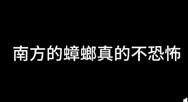 真的不要相信南方嘴里的蟑螂不恐怖-搞笑gif动态图片-izike