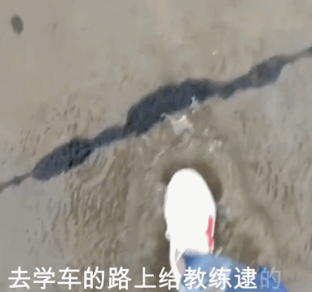 一路捡鱼-搞笑gif动态图片 - izike-izike
