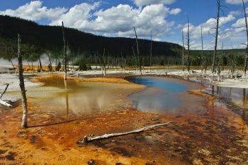 黄石国家公园的乳白池，其奇异的颜色来自嗜热细菌。