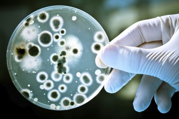 细菌可能看起来很讨厌，但它们在促进人类繁盛方面发挥着关键作用