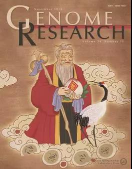 长寿老人（Xiao et al。 Genome Research 2018 28：1601-1610）