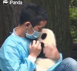 我流下了羡慕的眼泪水-搞笑gif动态图片-izike