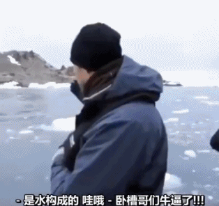 暴脾气的功夫企鹅-搞笑gif动态图片-izike
