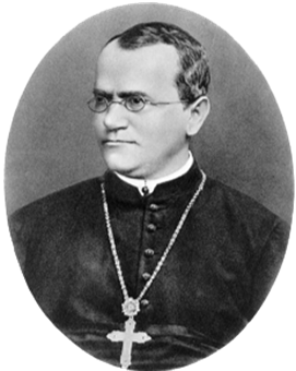 Gregor Mendel 1822-1884