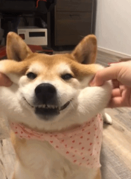 被欺负气到颤抖gif搞笑图片