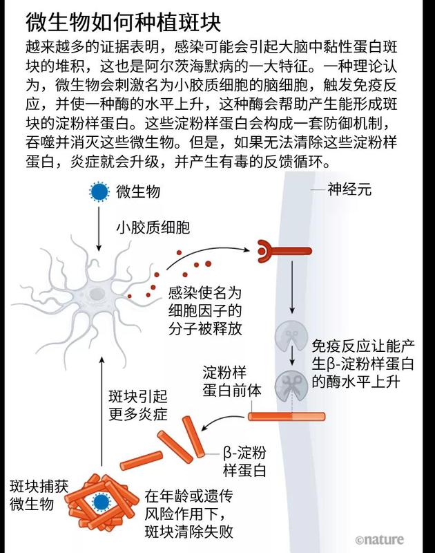来源：参考文献[9]；Nature 559， S4–S7 （2018）。