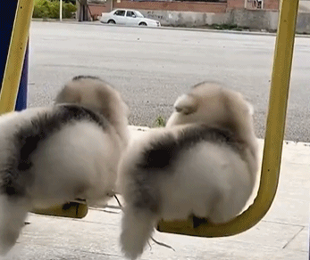 退休后的生活gif搞笑图片