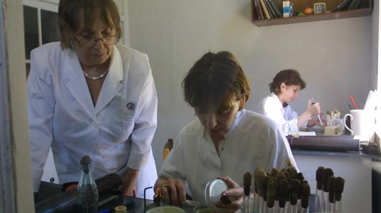 苏联解体后，埃利亚瓦研究所继续研究噬菌体疗法的治疗效果